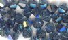 25 Montana Blue AB 4mm Bicone Swarovski